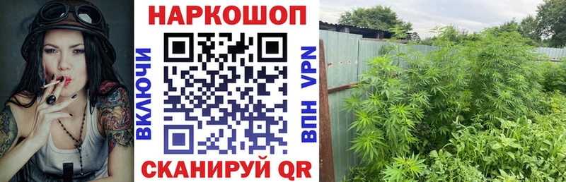 Где купить наркотики Мурманск АМФ  КОКАИН  ГАШИШ  Канабис  Альфа ПВП 